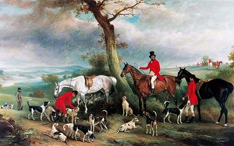 The Hurthworth Hunt's foxhounds.