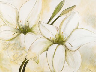 Gerstner Heidi - white lillies.